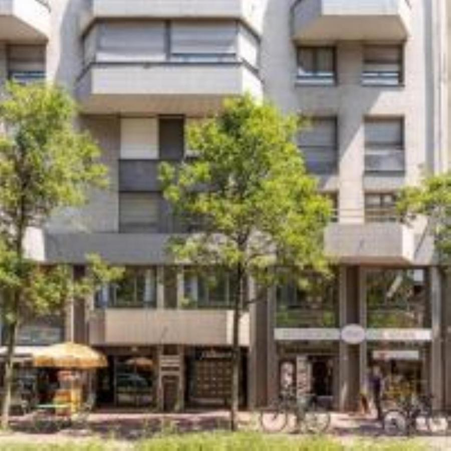 "Le Petit Bonlieu" Au Centre Ville Et A 300 M Du Lac 阿讷西 外观 照片