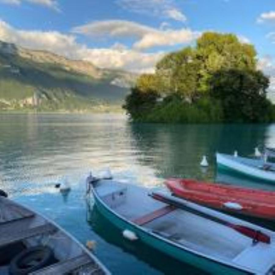 "Le Petit Bonlieu" Au Centre Ville Et A 300 M Du Lac 阿讷西 外观 照片
