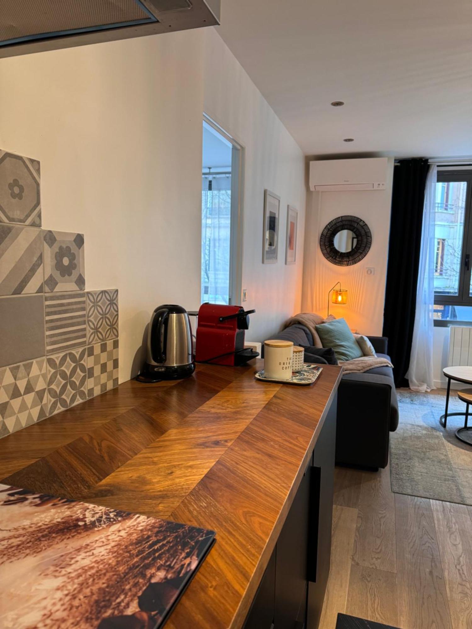"Le Petit Bonlieu" Au Centre Ville Et A 300 M Du Lac 阿讷西 外观 照片